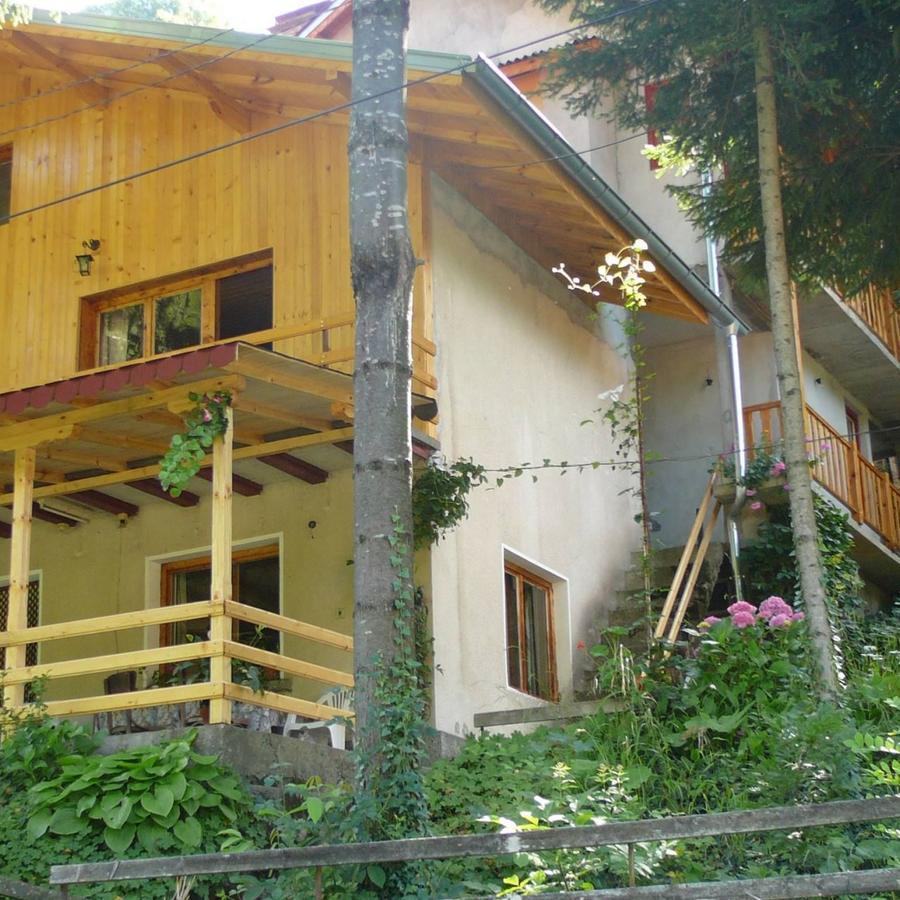 Mountain Sun Guest House 奇夫利克 外观 照片